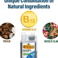 Absorbine Bute-Less Comfort & Recovery Solution Supplement for Horses