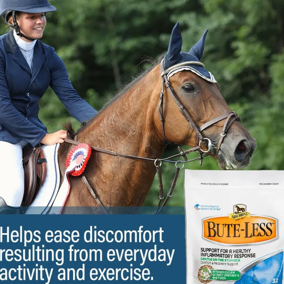 Absorbine Bute-Less Pellets Comfort & Recovery Supplement for Horses