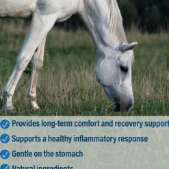Absorbine Bute-Less Pellets Comfort & Recovery Supplement for Horses