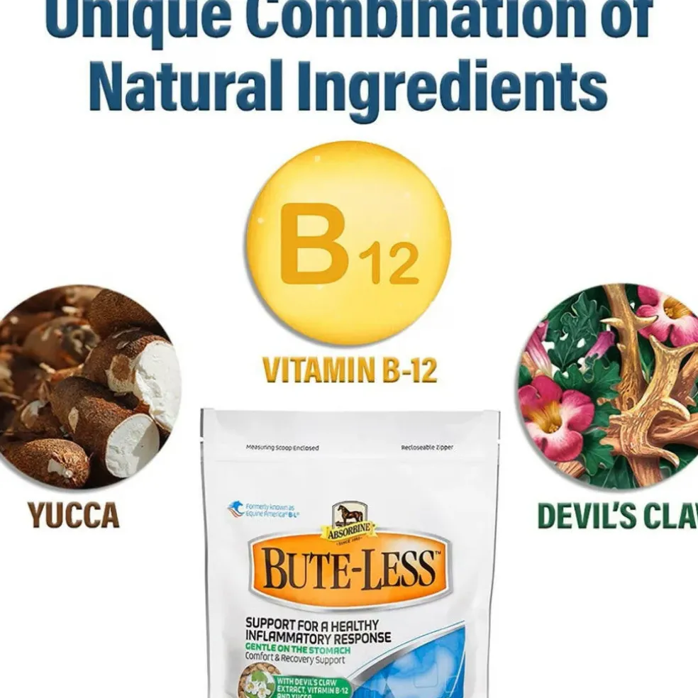 Absorbine Bute-Less Pellets Comfort & Recovery Supplement for Horses
