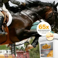 Absorbine Bute-Less Performance Comfort & Recovery Pellets for Horses (3.75 lbs)