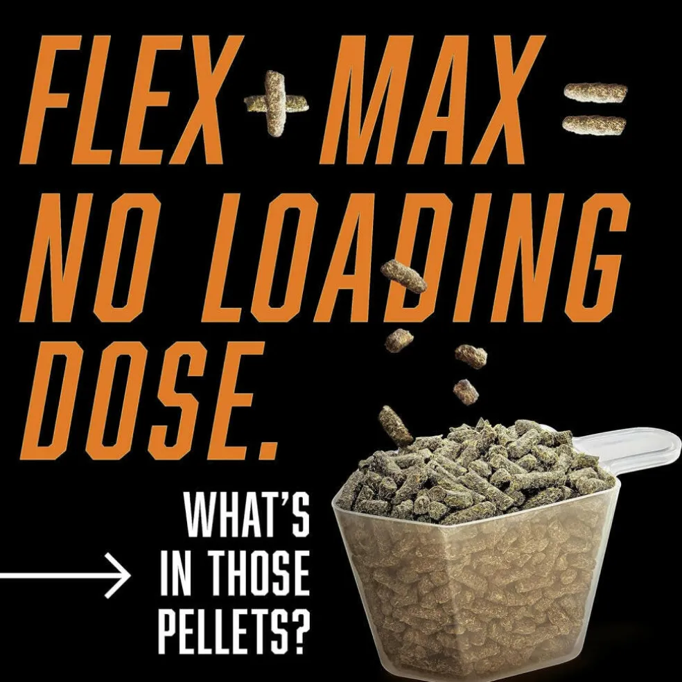 Absorbine Flex+ Max Joint Health Pellets Supplement for Horses