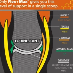 Absorbine Flex+ Max Joint Health Pellets Supplement for Horses