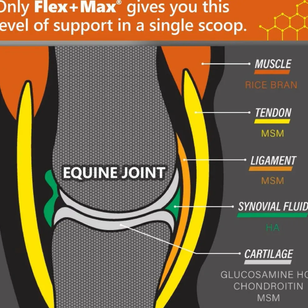 Absorbine Flex+ Max Joint Health Pellets Supplement for Horses