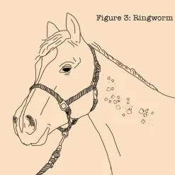 Absorbine Fungasol Spray for Horses (22 oz)