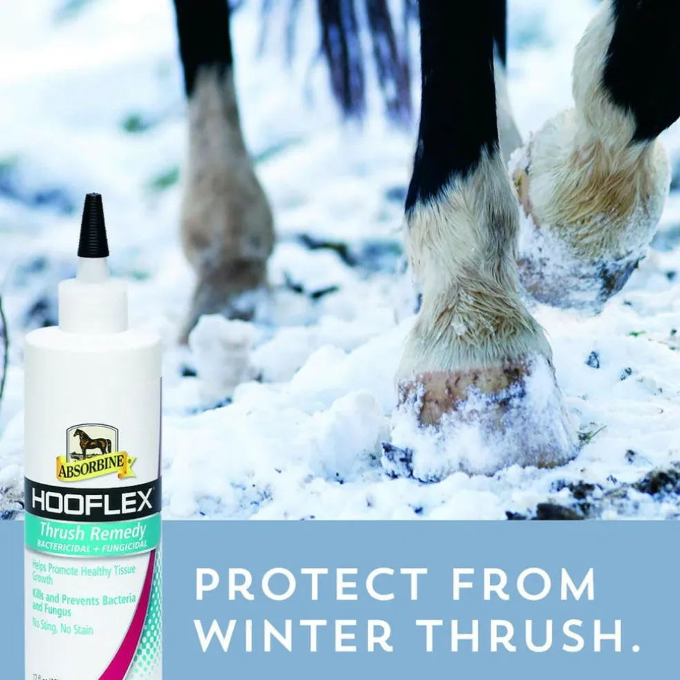 Absorbine Hooflex Bactericidal & Fungicidal Thrush Remedy for Horses 12 oz