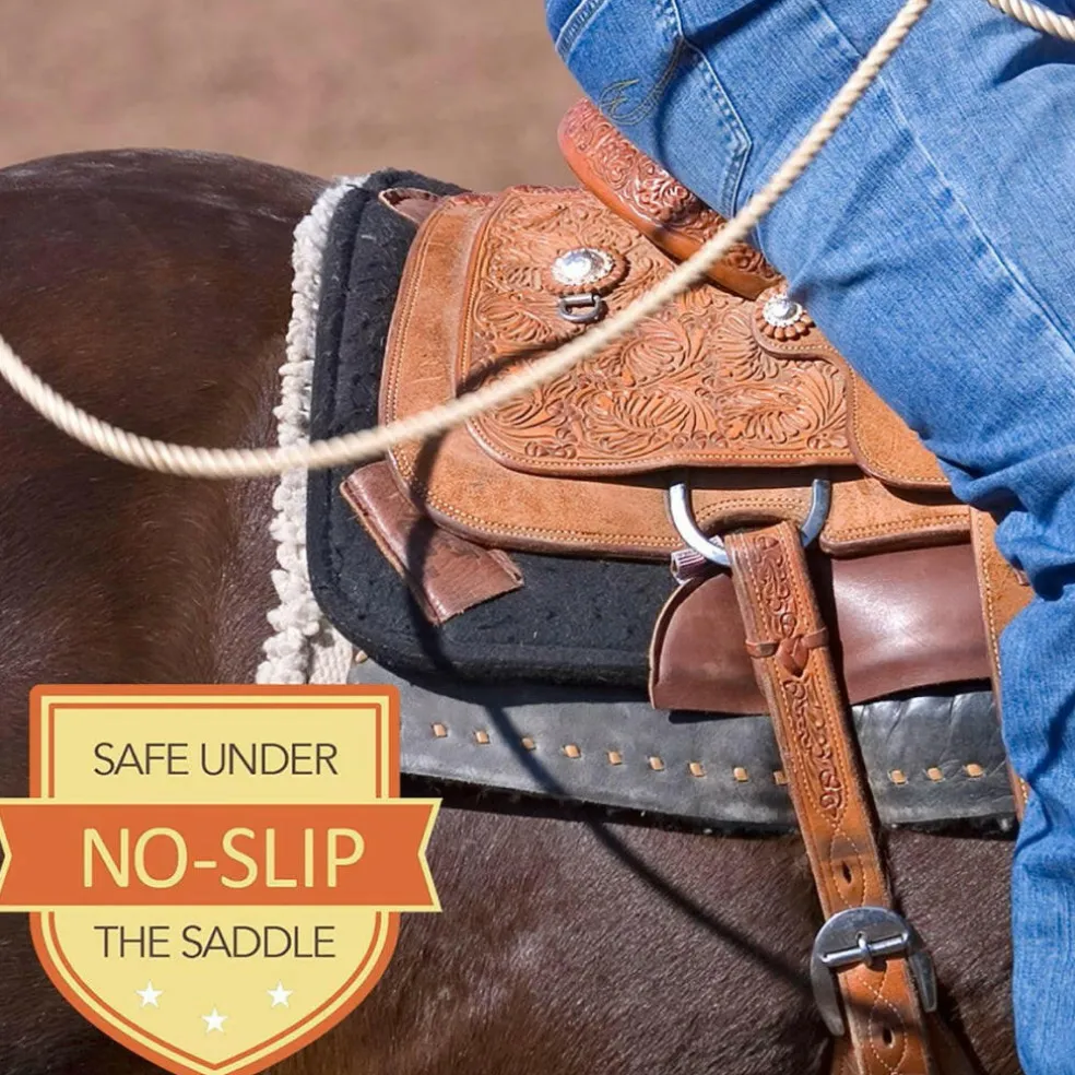 Absorbine Santa Fe Coat Conditioner & Sunscreen Spray for Horses
