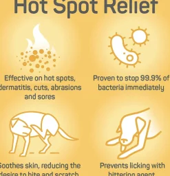 Absorbine Silver Honey Hot Spot & Wound Care Spray Gel 8 oz