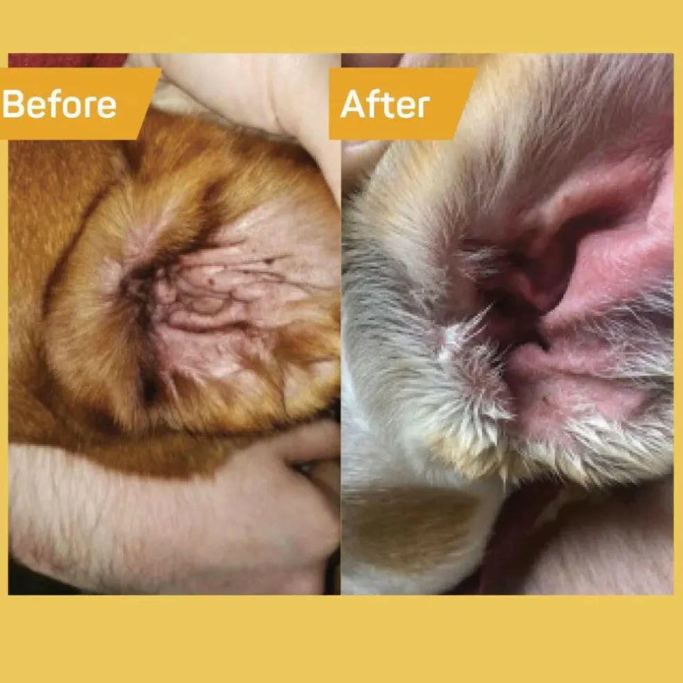 Absorbine Silver Honey Rapid Ear Care Vet Strength Pet Wipes