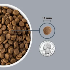 ACANA Light & Fit Grain-Free Dry Dog Food