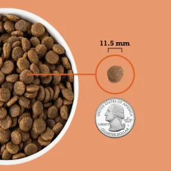 ACANA Puppy Grain-Free Dry Dog Food