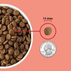 ACANA Red Meat Grain-Free Dry Dog Food