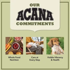 ACANA Singles Limited Ingredient Beef & Pumpkin Grain-Free High-Protein Dry Dog Food