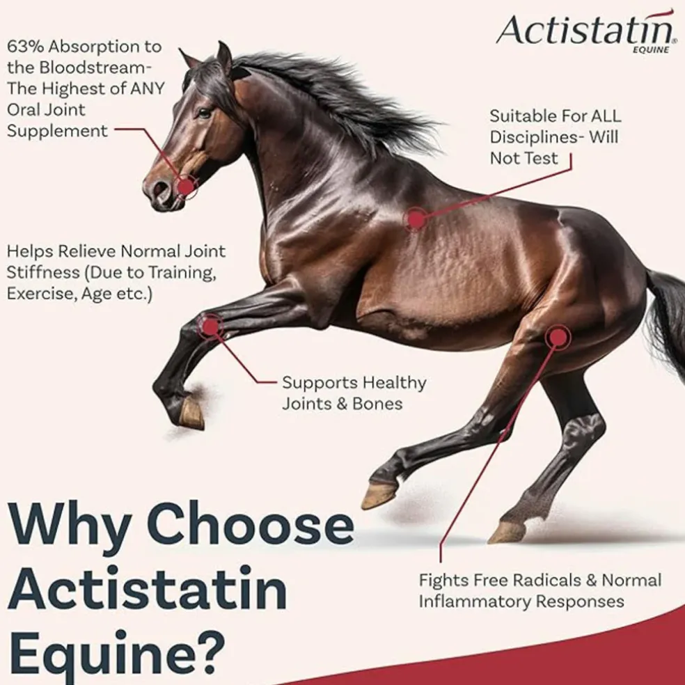 Actistatin Equine Maximum Absorption Joint Support Formula (39.65 oz, 90 day supply)