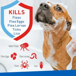 Adams Plus Flea & Tick Foaming Shampoo & Wash for Dogs & Puppies (10 oz)