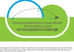 Advantage Flea & Tick Treatment Shampoo for Dogs & Puppies