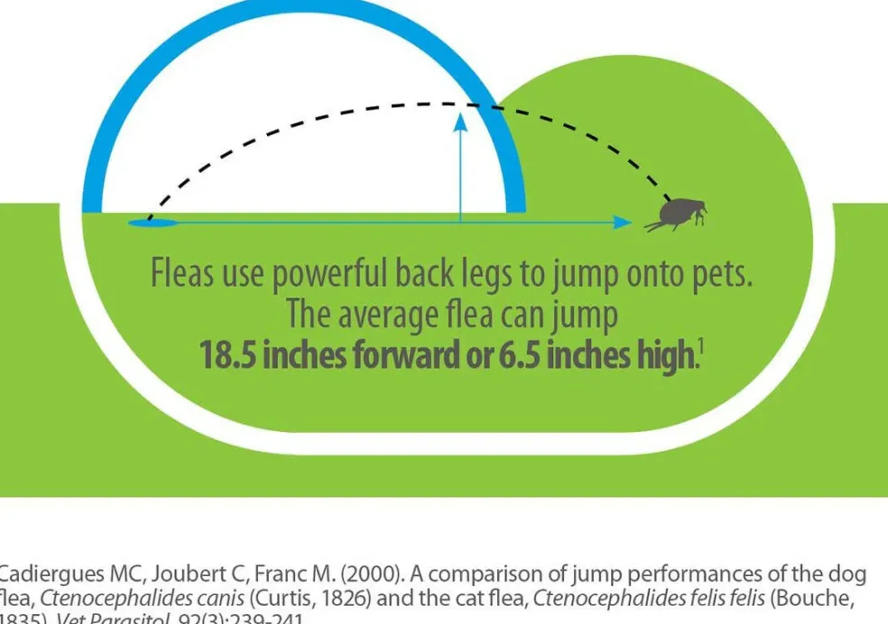 Advantage Flea Treatment Spray for Cats (8 oz)