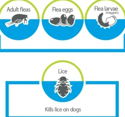 Advantage Flea Treatment Spray for Cats (8 oz)