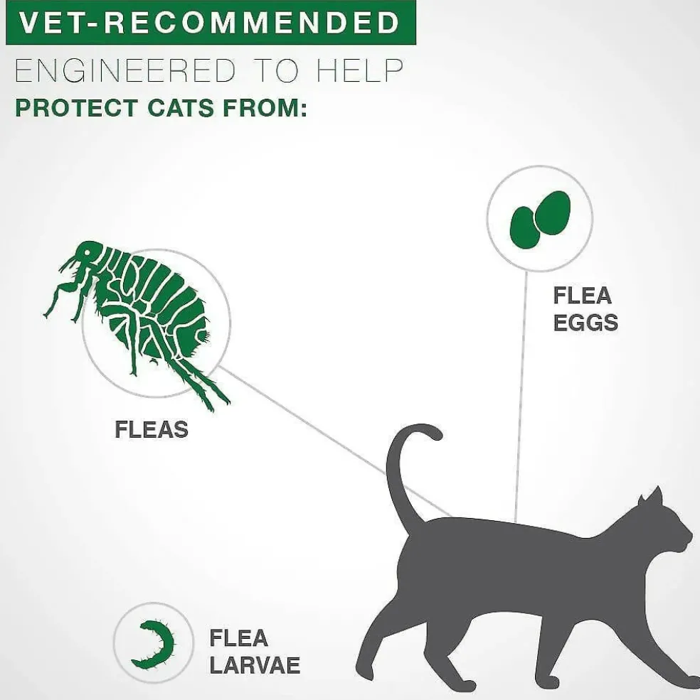 Advantage II Flea Control for Large Cats (Over 9 lbs) Purple Box