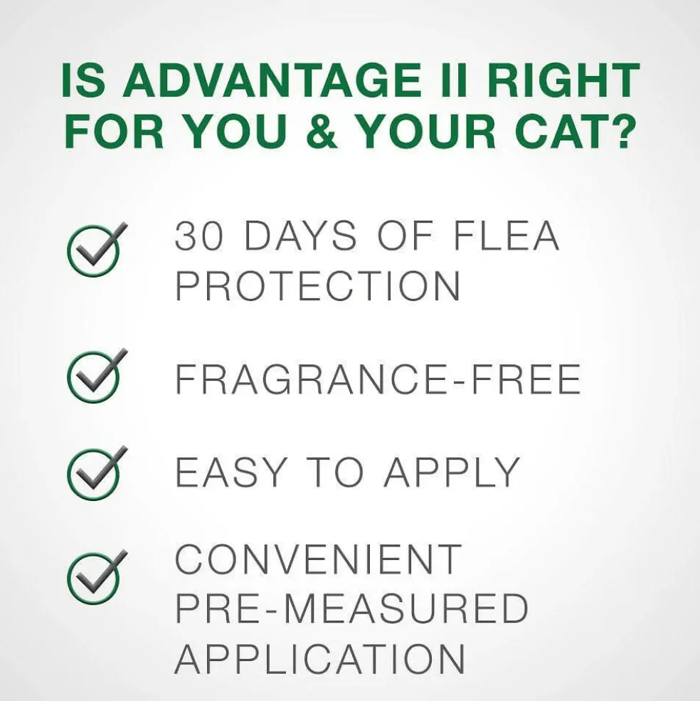 Advantage II Flea Control for Large Cats (Over 9 lbs) Purple Box