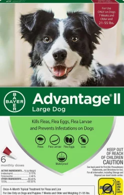 Advantage II Flea Control for Large Dogs (21-55 lbs) Red Box