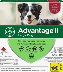 Advantage II Flea Control for Large Dogs (21-55 lbs) Red Box