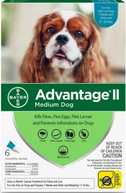 Advantage II Flea Control for Medium Dogs (11-20 lbs) Teal Box