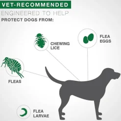 Advantage II Flea Control for Medium Dogs (11-20 lbs) Teal Box