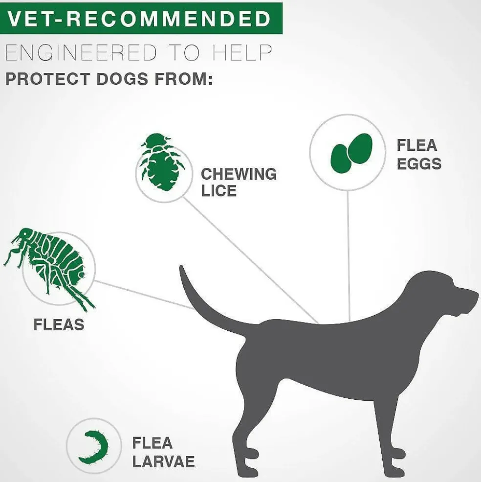 Advantage II Flea Control for Medium Dogs (11-20 lbs) Teal Box