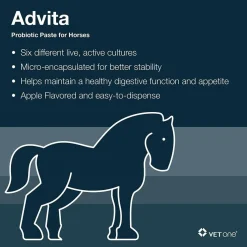 Advita Probiotic Paste for Horses (30g tube)