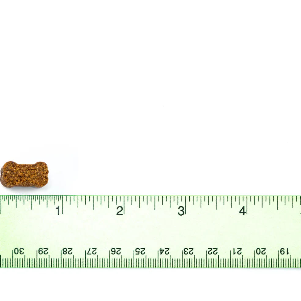 Allergy & Itch Support Chews for Dogs