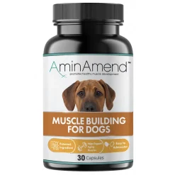 AminAmend Muscle Building for Dogs over 20 lbs, 30 capsules