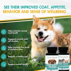 AminAvast Kidney Support Capsules for Cats - 60 Capsules