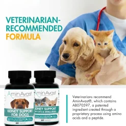 AminAvast Kidney Support Capsules for Cats - 60 Capsules