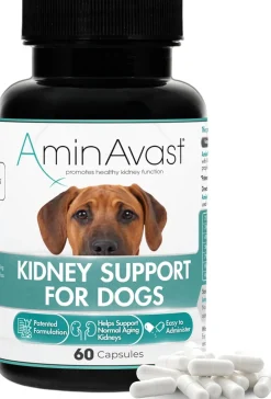 AminAvast Kidney Support for Dogs (60 capsules)