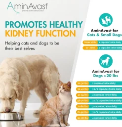 AminAvast Kidney Support for Dogs (60 capsules)