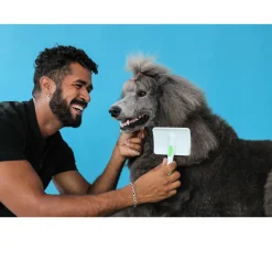 Andis Firm Slicker Dog Grooming Brush, Green/White