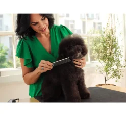 Andis Steel Pet Comb