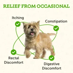 Animal Essentials Colon Rescue Herbal Tonic to Support Normal Bowel Function for Dogs & Cats