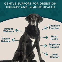 Animal Essentials Senior Support Herbal Tonic to Maintain Optimal Health for Dogs & Cats