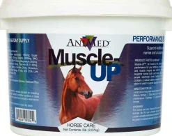 AniMed Muscle-Up Powder Supplement for Horses