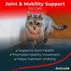 Antinol+ Plus Enhanced Daily Joint and Mobility Support for Cats, 30 Soft Gels