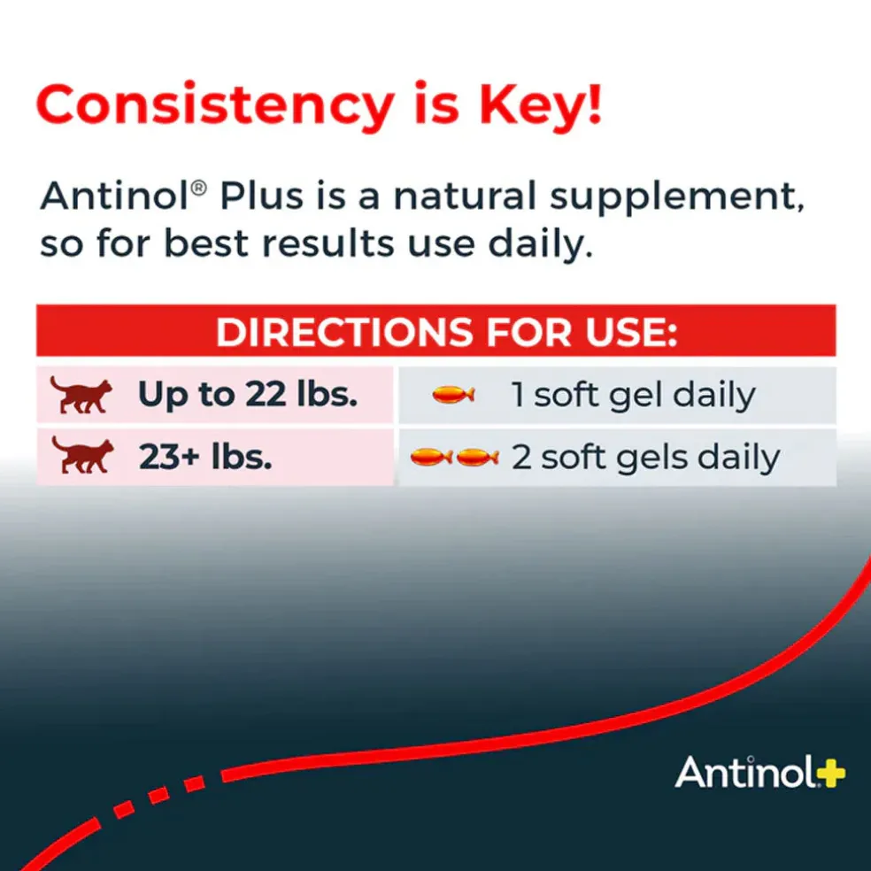 Antinol+ Plus Enhanced Daily Joint and Mobility Support for Cats, 30 Soft Gels