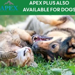 Apex Plus Topical Flea & Tick Prevention for Cats over 1.5 lbs (3 doses)