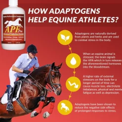 APF Pro Advanced Protection Formula Supplement for Horses (12 oz)