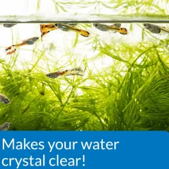 API Accu-Clear Quick Water Clarifier