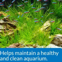 API Aquarium Water Conditioner Start-Up Pack (Stress Coat & Quick Start)