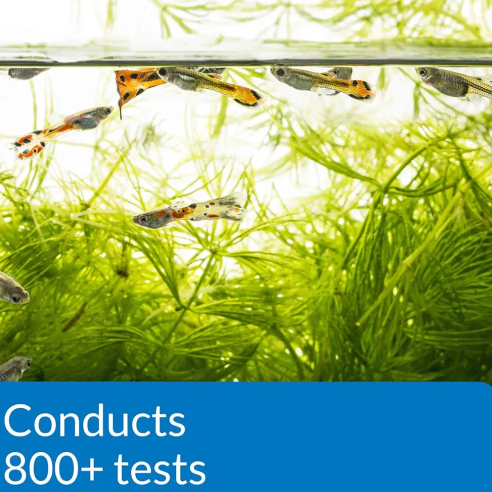 API Freshwater Master Test Kit
