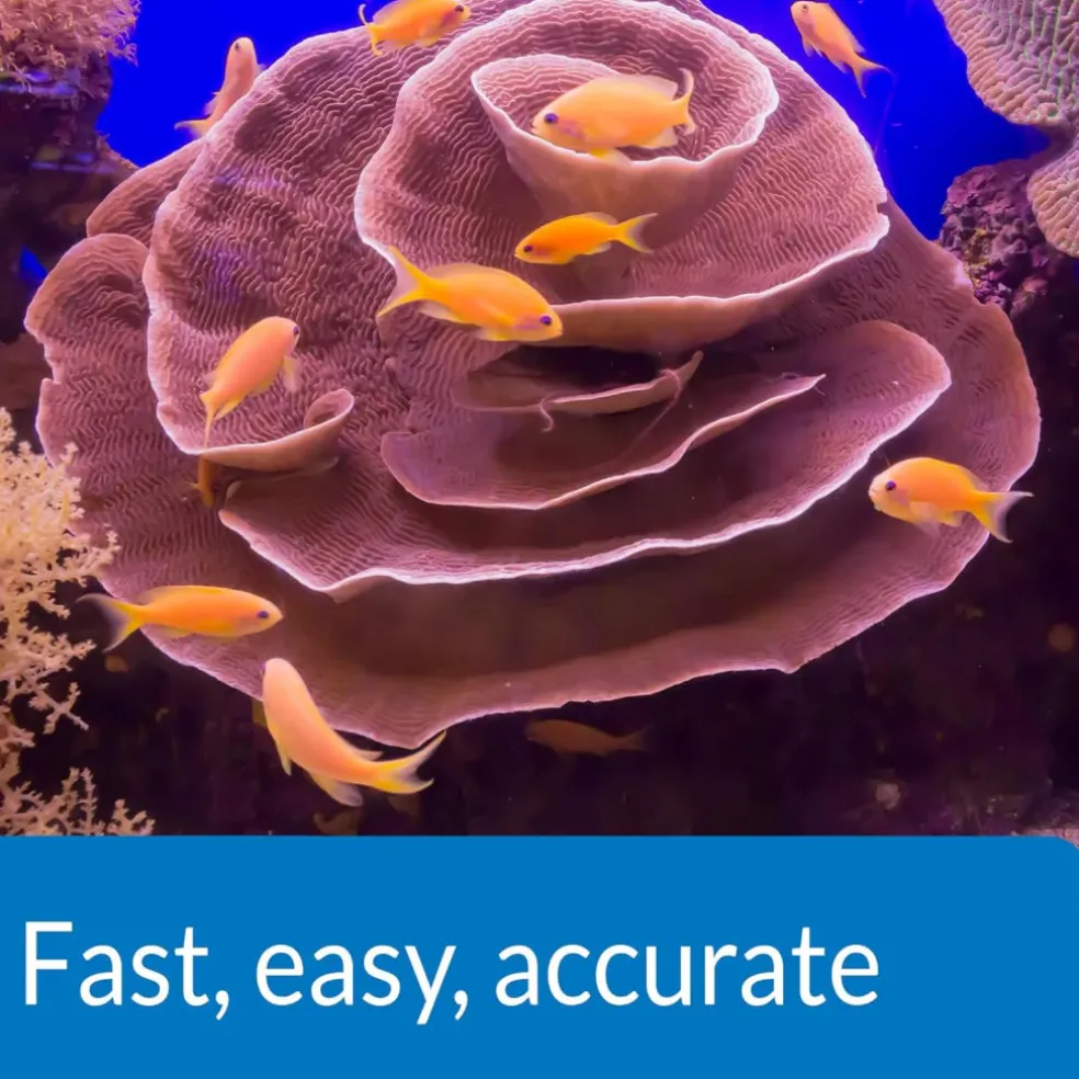 API Saltwater Master Test Kit