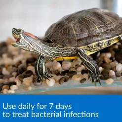 API Turtle Fix Antibacterial Turtle Remedy (8 oz)